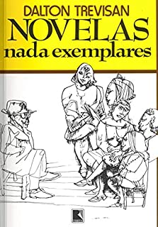 Livro Novelas nada exemplares