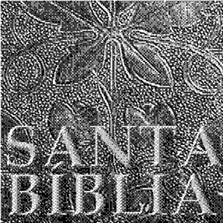 Livro O Novo Testamento [Annotated]