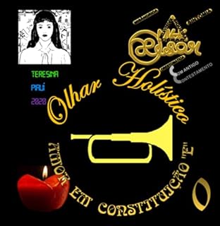 Livro Olhar Holístico