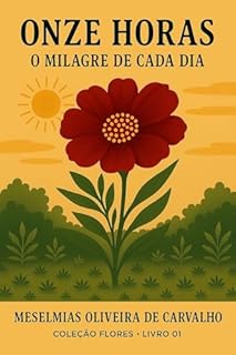 ONZE HORAS: O Milagre de cada Dia (COLEÇÃO FLORES Livro 1)