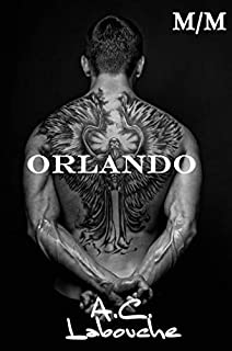 Livro Orlando: M/M (Combatente Livro 1)