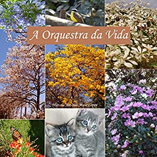 Livro A ORQUESTRA DA VIDA