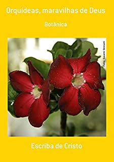 Livro Orquídeas, Maravilhas De Deus