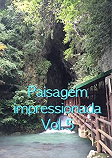 Livro Paisagem impressionada Vol.5