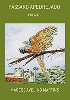 Livro PÁssaro Apedrejado