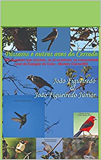 Pássaros e outras ves do Cerrado: 100 espécies que existem, ou existiram, na comunidade de Espigão de Cima, Montes Claros-MG