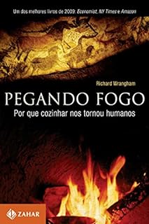 Pegando fogo: Por que cozinhar nos tornou humanos