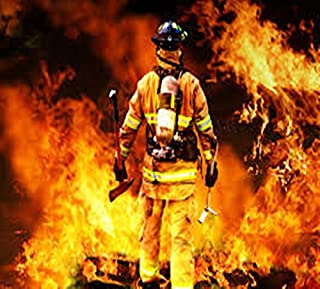 Livro Plano de Contingência: Segurança Privada