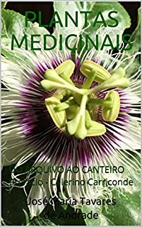 Livro PLANTAS MEDICINAIS: DO ARQUIVO AO CANTEIRO  Prefácio - Celerino Carriconde