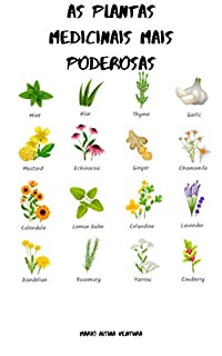 AS PLANTAS MEDICINAIS MAIS PODEROSAS