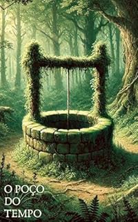 Livro O poço do tempo