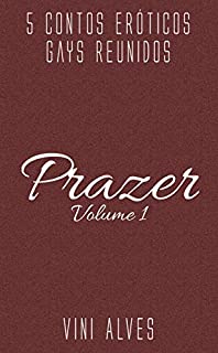 Livro Prazer (Vol. 1): 5 contos eróticos gays