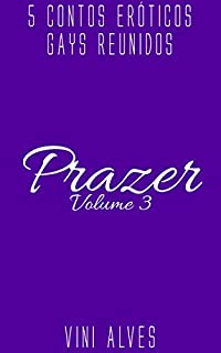 Livro Prazer (Vol. 3): 5 contos eróticos gays