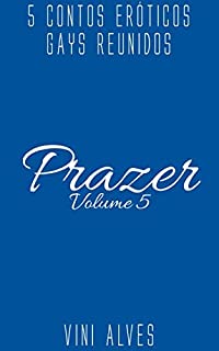 Livro Prazer (Vol. 5): 5 contos eróticos gays