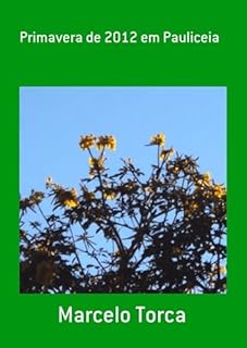 Livro Primavera De 2012 Em Pauliceia