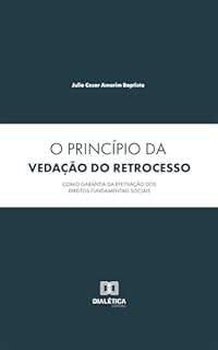 O Princípio da Vedação do Retrocesso como Garantia da Efetivação dos Direitos Fundamentais Sociais