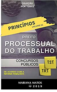 Livro Princípios do Direito Processual do Trabalho: Concursos Públicos (Direito Processual por TEMAS Livro 2)