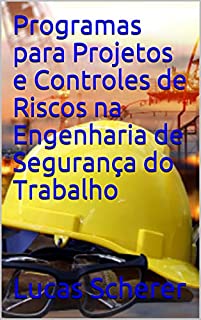 Programas para Projetos e Controles de Riscos na Engenharia de Segurança do Trabalho