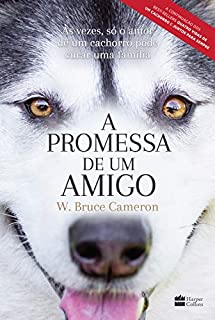 Livro A promessa de um amigo