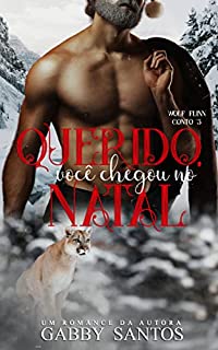Livro Querido, você chegou no natal - Wolf Flinn, conto 3
