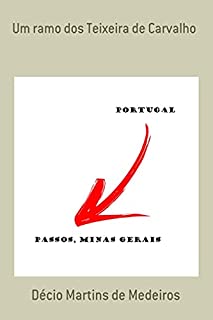 Livro Um ramo dos Teixeira de Carvalho