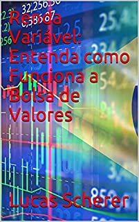 Livro Renda Variável: Entenda como Funciona a Bolsa de Valores