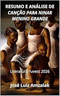 Livro RESUMO E ANÁLISE DE CANÇÃO PARA NINAR MENINO GRANDE: Literatura Fuvest 2026