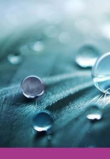 Livro Retratos De Baudelaire