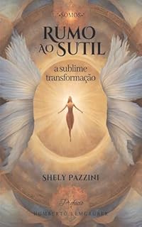 Rumo ao sutil: a sublime transformação