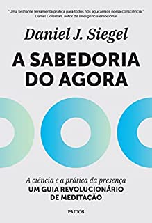Livro A Sabedoria do Agora: A Ciência e a prática da presença - um guia revolucionário de meditação