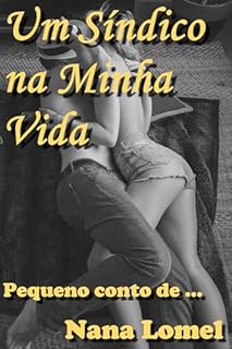 Livro Um Síndico na Minha Vida