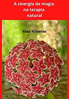 Livro A Sinergia Da Magia Na Terapia Natural