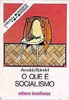 Livro O que é socialismo (Primeiros Passos)