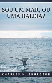 Sou um Mar, ou uma Baleia?