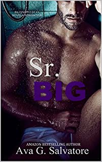 Livro Sr. BIG (Dominação Livro 1)
