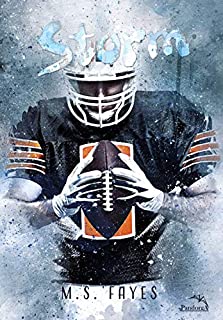 Livro Storm (Rainbow  Livro 3)