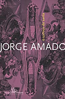 Livro O sumiço da Santa - Uma História de Feitiçaria