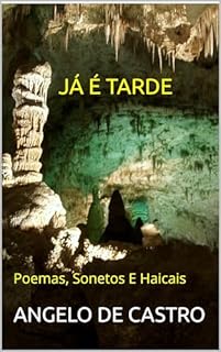 Livro JÁ É TARDE: Poemas, Sonetos E Haicais