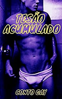 Livro Tesão Acumulado: Conto Gay
