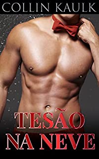 Livro Tesão na Neve: Conto Gay Erótico (Meu Segredo Gay)