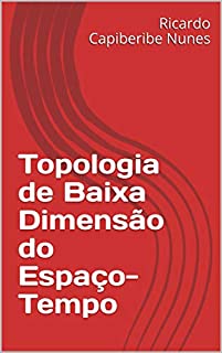 Topologia de Baixa Dimensão do Espaço-Tempo (O Princípio da Relatividade Livro 7)