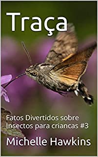 Traça: Fatos Divertidos sobre Insectos para criancas #3 (Fatos ...