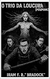 Livro O TRIO DA LOUCURA : [Pós/Punk]