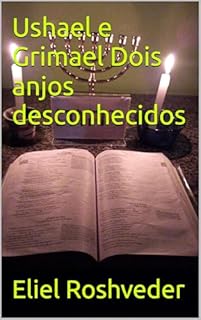 Livro Ushael e Grimael Dois anjos desconhecidos (Série Anjos da Luz Livro 26)