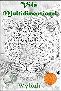 Livro Vida Multidimensional: Livro 3