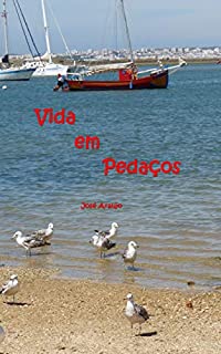 Vida em pedaços