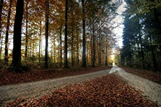 Livro VIDAS CRUZADAS