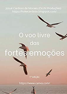 Livro O voo livre das fortes emoções: Occhiproduções