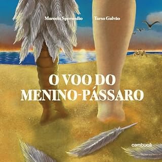 O voo do menino-pássaro