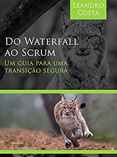 Do Waterfall ao Scrum: Um guia para uma transição segura